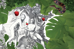 Bildunterschrift: Neues Konzept für Rauschenberger’s Supperclub im Cube 2016: Be seduced by GARDEN E Bildunterschrift: Neues Konzept für Rauschenberger’s Supperclub im Cube 2016: Be seduced by GARDEN E