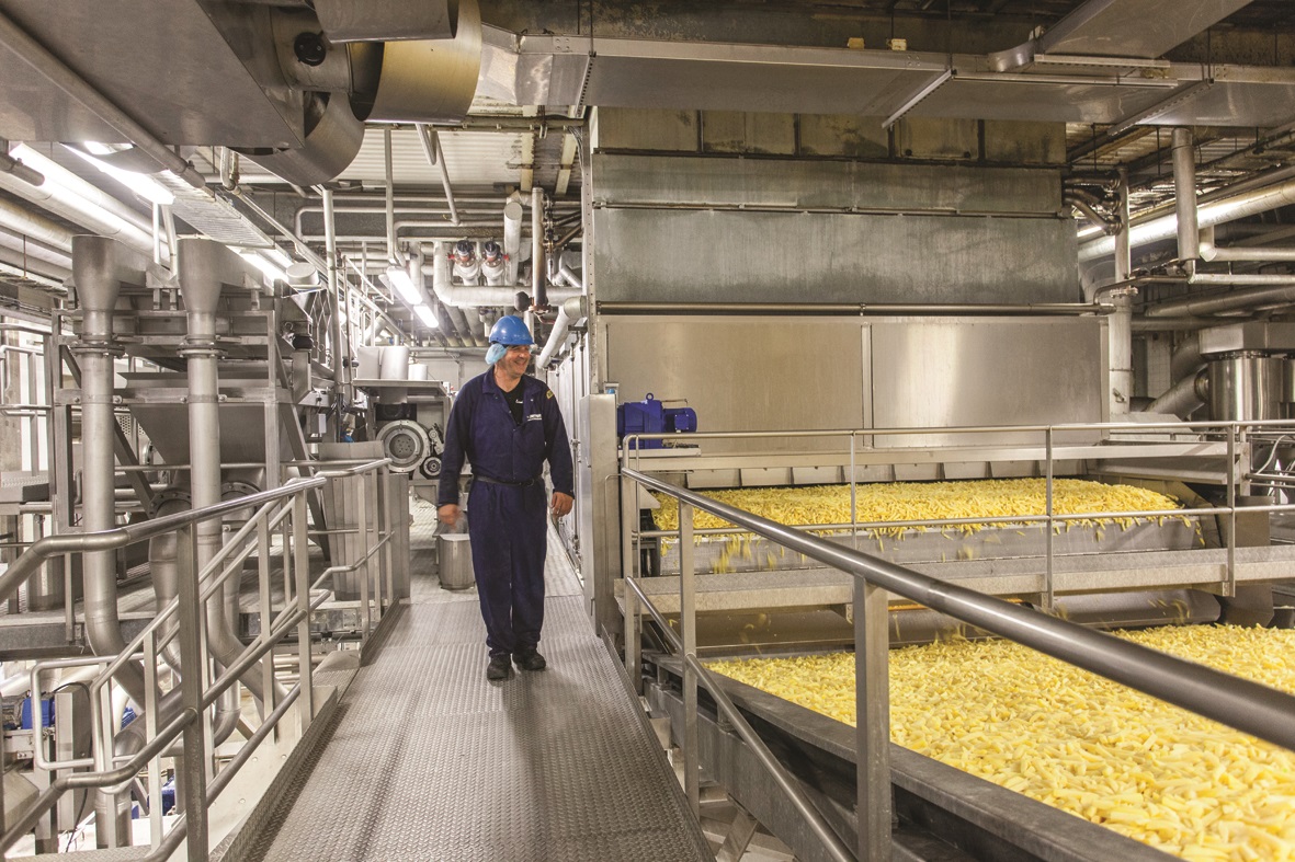 Erste Pommes-Fabrik für Russland Erste Pommes-Fabrik für Russland