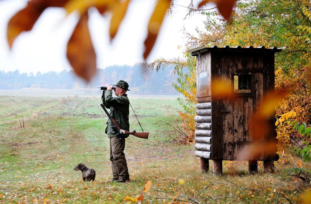 In der Jagd die Natur erleben (Bildquelle: Fotolia noxmox)