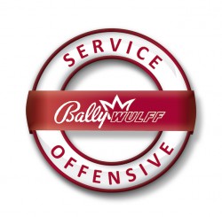 Wissenswertes vom Experten bei BALLY WULFF Wissenswertes vom Experten bei BALLY WULFF