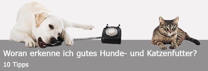 Erkennen Sie hochwertiges Futter