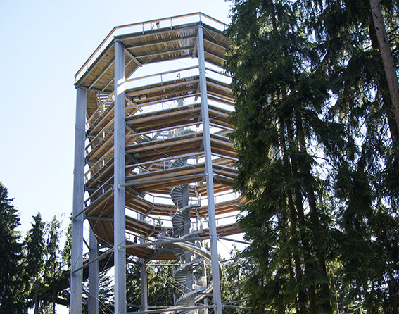 Baumwipfelpfad in Lipno. (Bildquelle: Klaus Klöppel)
