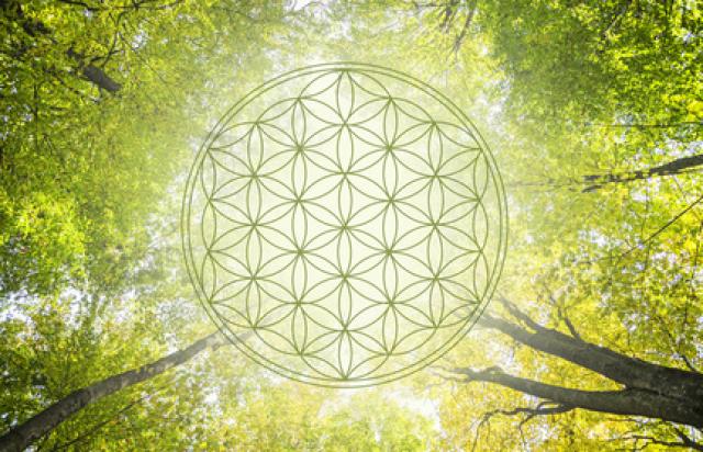 Detox-Life/SE-Texte - Bildquelle: fotolia.com Detox-Life/SE-Texte - Bildquelle: fotolia.com