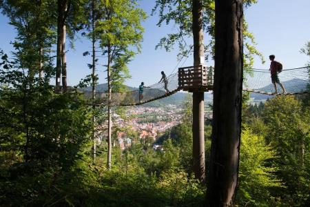 Baumkronenweg im Naturerlebnispark Waldkirch Baumkronenweg im Naturerlebnispark Waldkirch