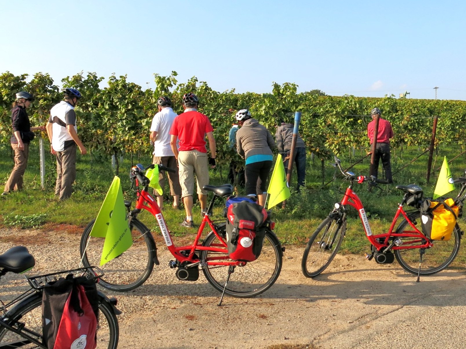 Weinreisen und Weinradtouren zur Weinlese mit genussradeln-pfalz Weinreisen und Weinradtouren zur Weinlese mit genussradeln-pfalz