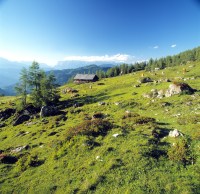 Alm Aussicht (EDELWEISS HOTEL Großarl) Alm Aussicht (EDELWEISS HOTEL Großarl)