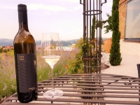 Die Cuvée Selection Golden Hill white 2015 Die Cuvée Selection Golden Hill white 2015