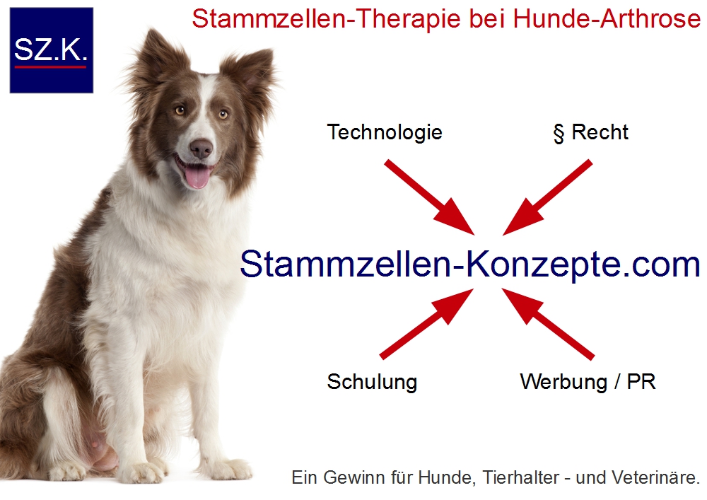 Behandlung von Arthrose beim Hund mit Stammzellen hat zahlreiche Vorteile. Behandlung von Arthrose beim Hund mit Stammzellen hat zahlreiche Vorteile.