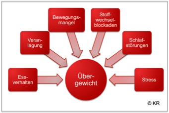 Die individuellen Ursachen für Übergewicht Die individuellen Ursachen für Übergewicht