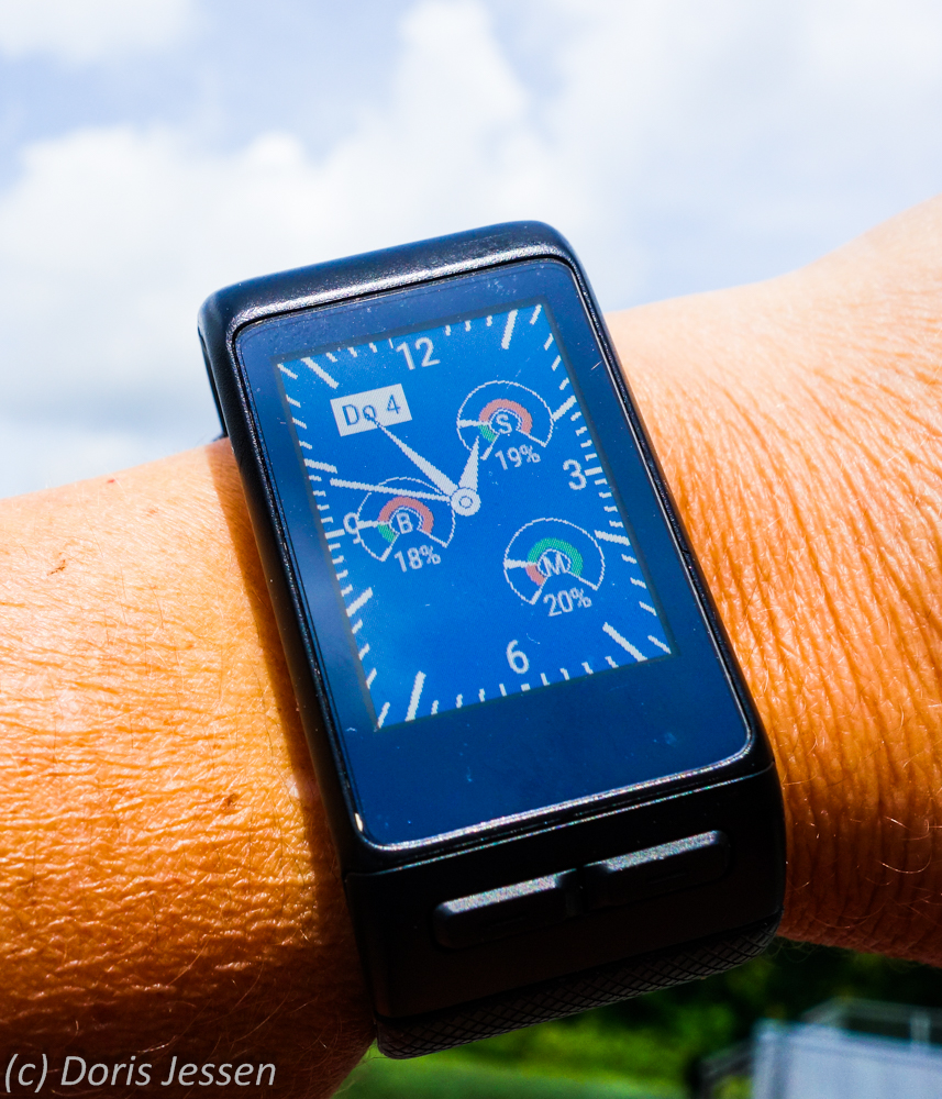 Mit-Pferden-reisen.de Produkttest: Fitness Tracker für Reiter