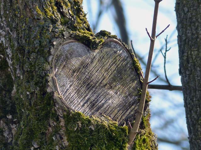 Nachhaltig für die Zukunft der Natur - für unsere Kinder! Nachhaltig für die Zukunft der Natur - für unsere Kinder!