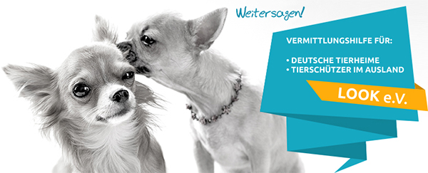 Der Look e.V. Tierschutzverein in Hamburg und München Der Look e.V. Tierschutzverein in Hamburg und München