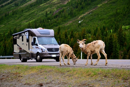 Mit dem Camper durch British Columbia: Naturfans erleben Natur und Wildnis Mit dem Camper durch British Columbia: Naturfans erleben Natur und Wildnis