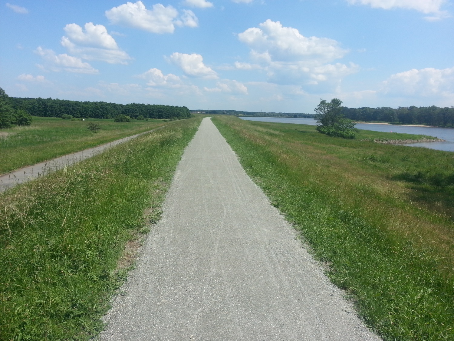 Elberadweg mit wassergebundener Wegedecke Elberadweg mit wassergebundener Wegedecke