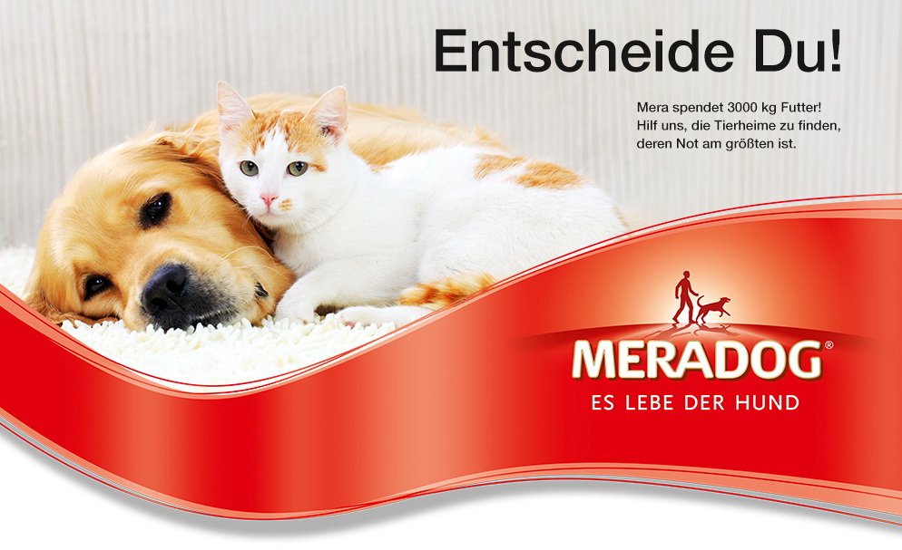 Jeder kann auf der Webseite sein Lieblings-Tierheim zur Spendenaktion anmelden.