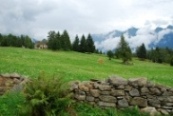 Ossola-Täler Ossola-Täler