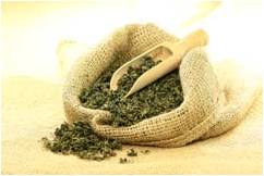 Jiaogulan-Tee: Effizienter als Ginseng Jiaogulan-Tee: Effizienter als Ginseng