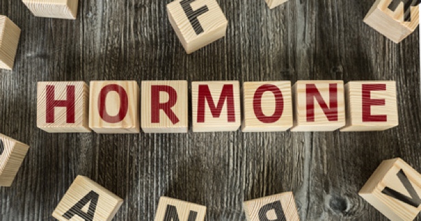 Behandlung mit naturidentischen Hormonen in Schwäbisch Gmünd. (Bildquelle:©gustavofrazao - Fotolia.c