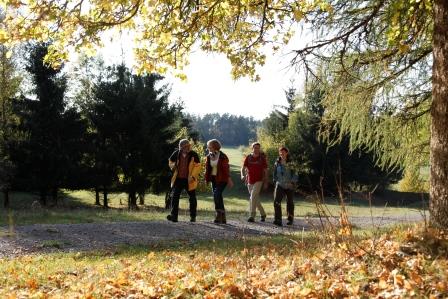 © Nördlicher Schwarzwald - Wanderwoche - by Ulrike Klumpp