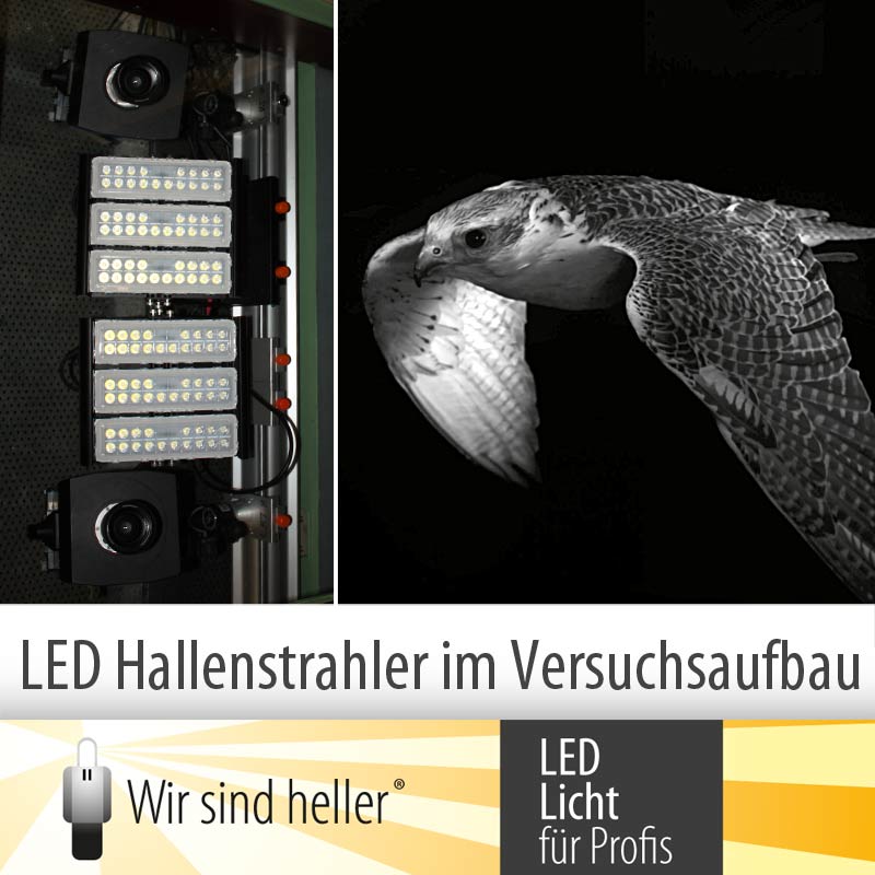 LED Hallenstrahler im Versuchsaufbau LED Hallenstrahler im Versuchsaufbau