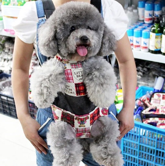 Tierrucksack