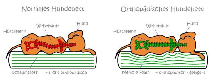 Hundebett Vergleich
