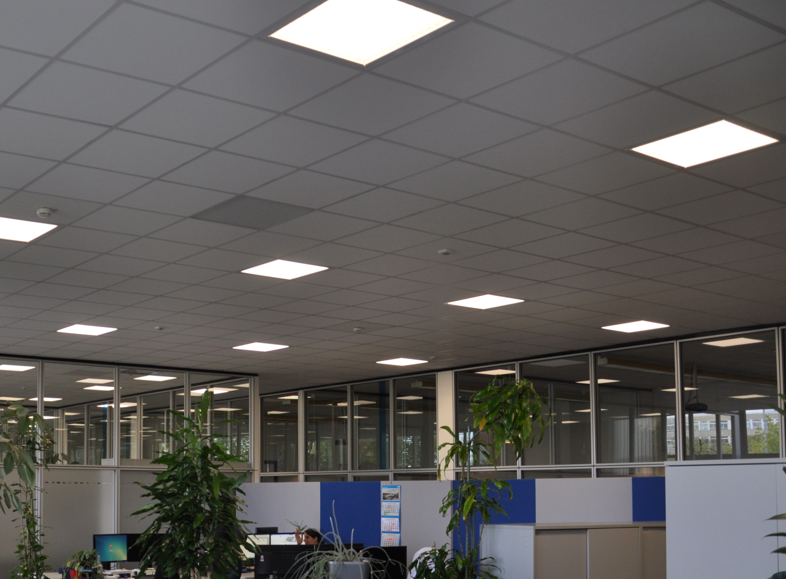Einbauleuchten ECL-one von AS LED Lighting großräumig eingesetzt in Büros und Besprechungsräumen der Einbauleuchten ECL-one von AS LED Lighting großräumig eingesetzt in Büros und Besprechungsräumen der