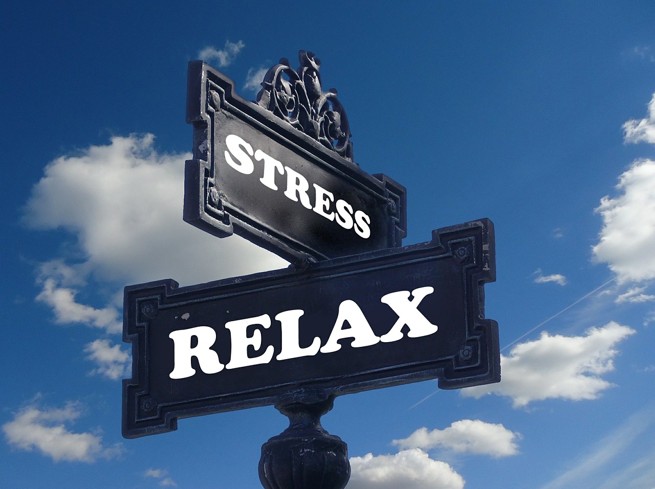 Gute Tipps gegen Alltagsstress erhalten Sie in Ihrer Apotheke vor Ort. (Bildquelle: Pixabay) Gute Tipps gegen Alltagsstress erhalten Sie in Ihrer Apotheke vor Ort. (Bildquelle: Pixabay)