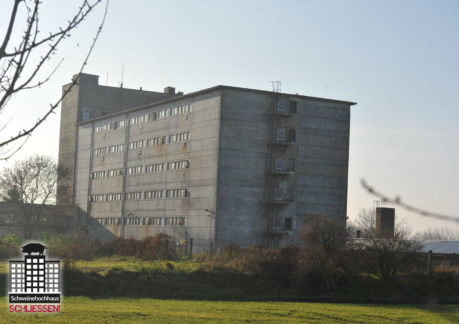 Im Schweinehochhaus leiden knapp 500 Sauen unter den tierquälerischen Bedingungen. Im Schweinehochhaus leiden knapp 500 Sauen unter den tierquälerischen Bedingungen.