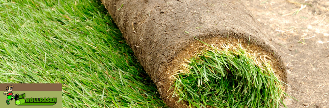 MH Rollrasen - Ihre Experten für Fertigrasen in jeder Gartensituation