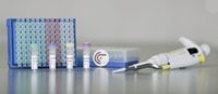 GynTect bietet ein breiteres Anwendungsspektrum durch größere Vielfalt verwendbarer Proben GynTect bietet ein breiteres Anwendungsspektrum durch größere Vielfalt verwendbarer Proben