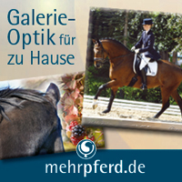 Fotos auf edler Künstlerleinwand mit Holzkeilrahmen Fotos auf edler Künstlerleinwand mit Holzkeilrahmen