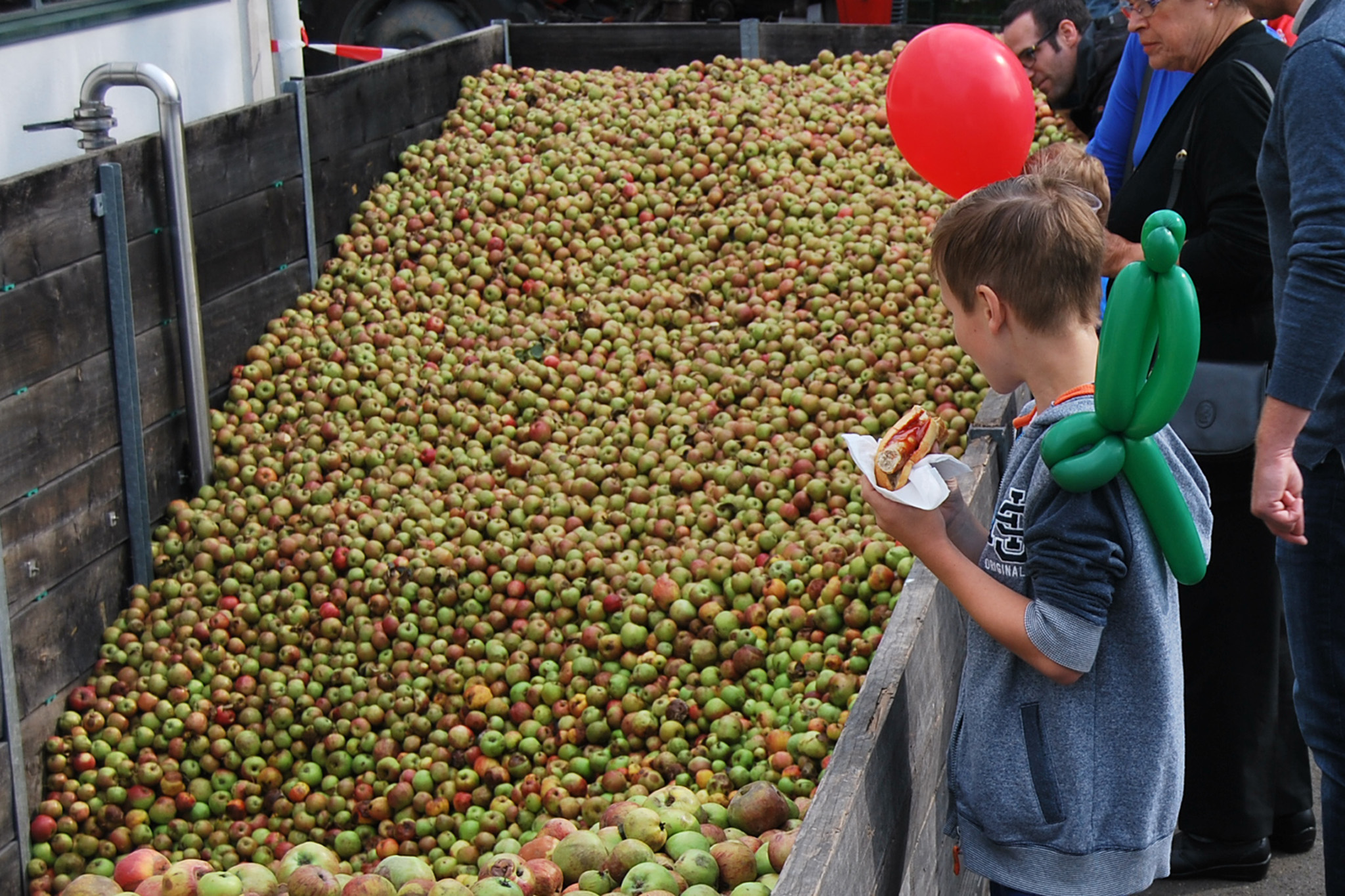 Besucher erleben hautnah die Herstellung von Fruchtsaft. (Bildquelle: VdF)