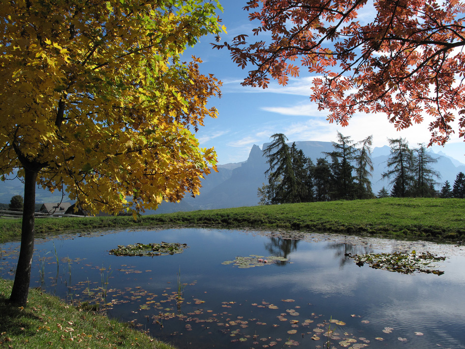 Herbstlandschaft - Ritten - Weiher (Bildquelle:©Elisa Erlacher)