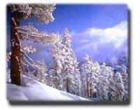 Winterzeit im Bayerischen Wald