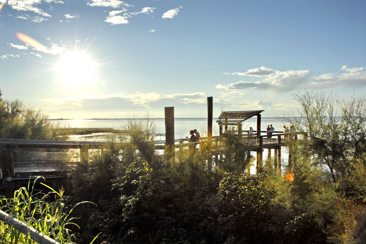 Naturreservat bei Lignano Sabbiadoro @ Agenzia Turismo Friuli Venezia Giulia