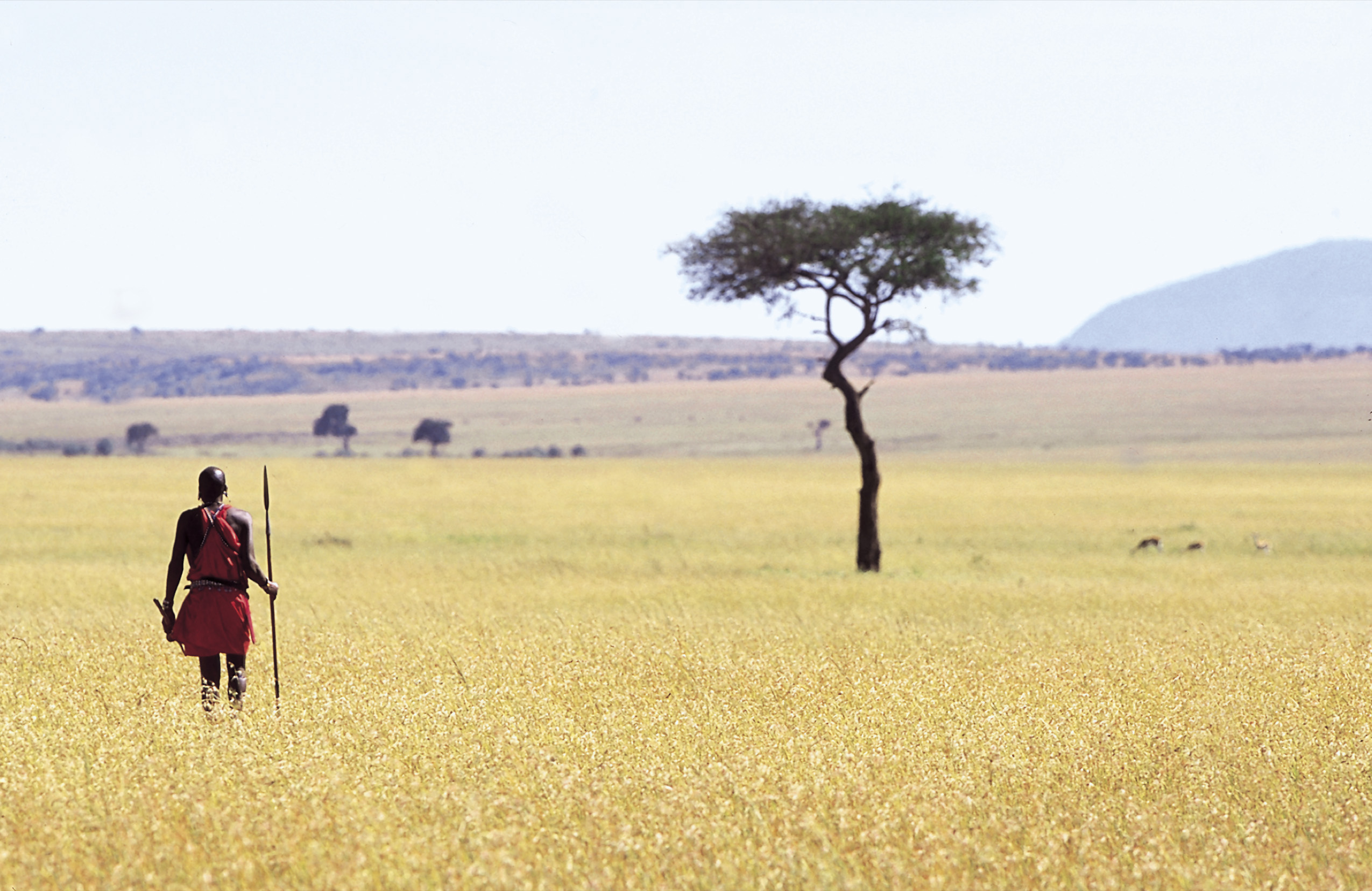 Eins mit der Natur - Ostafrikabesucher erleben Wildnis aus erster Hand auf atemberaubenden Safaris ( Eins mit der Natur - Ostafrikabesucher erleben Wildnis aus erster Hand auf atemberaubenden Safaris (