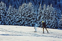 Langlaufen Langlaufen
