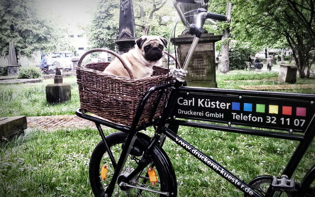 Carly Carl Küster Druckerei