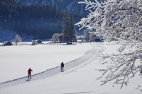 Langlaufen in der Ferienregion Nationalpark Hohe Tauern