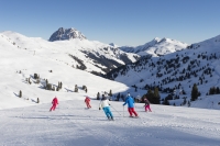 Schwungvoll durch die Wildkogel-Arena