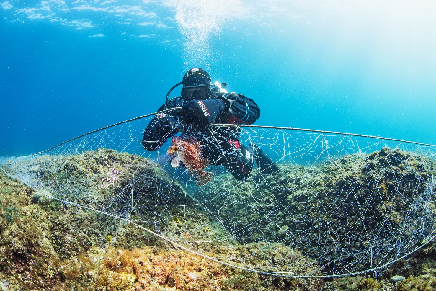 Healthy Seas birgt herrenlose Fischernetze. Die daraus gefertigten Socken vertreibt Kaufland (Bildqu Healthy Seas birgt herrenlose Fischernetze. Die daraus gefertigten Socken vertreibt Kaufland (Bildqu