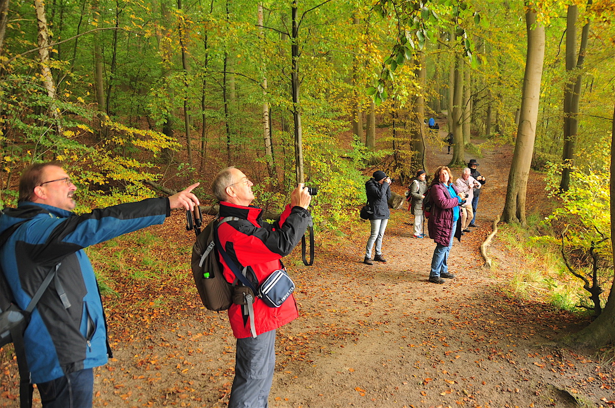 Große Resonanz auf Rügen für den 4. Wanderherbst mit insgesamt 70 Aktivangeboten. Große Resonanz auf Rügen für den 4. Wanderherbst mit insgesamt 70 Aktivangeboten.