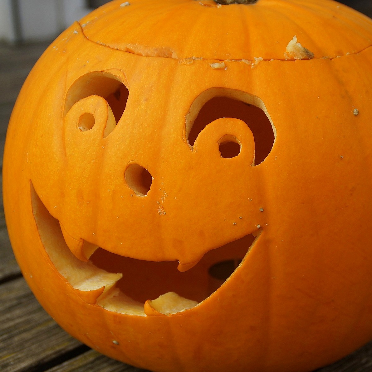 XXL-Halloweenkürbis / Riesenkürbis / Schnitzkürbis XXL-Halloweenkürbis / Riesenkürbis / Schnitzkürbis