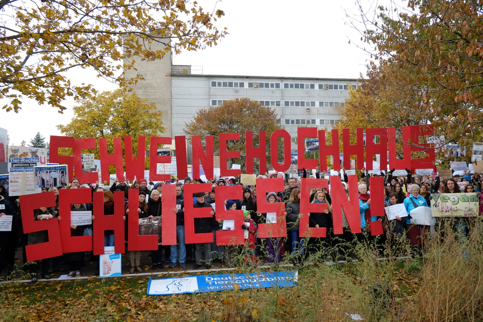Tierschützer fordern die Schließung des Schweinehochhauses.