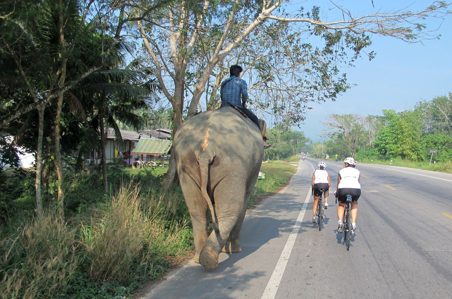 Vorbei an Elefanten: Radreise durch Thailand Vorbei an Elefanten: Radreise durch Thailand