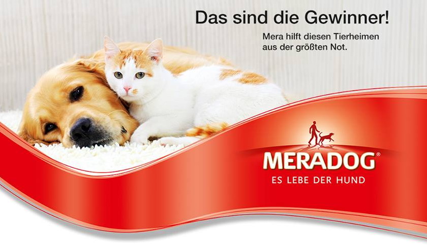 Meradog Spendenaktion mit zusätzlichem Hundefutter und Katzenfutter für Tierheime Meradog Spendenaktion mit zusätzlichem Hundefutter und Katzenfutter für Tierheime
