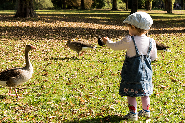 Besonders für kleine Kinder ist das Füttern von Wildtieren ein echtes Erlebnis.Quelle: ERGO Group Besonders für kleine Kinder ist das Füttern von Wildtieren ein echtes Erlebnis.Quelle: ERGO Group