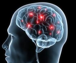 DAS Jahres-Event der Neuro-Szene - 17.12.2016 im Maritim Airport Düsseldorf