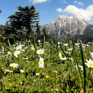 Hochalm bei Kemer Hochalm bei Kemer